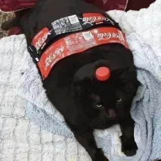 КотаКола 😁 #1
