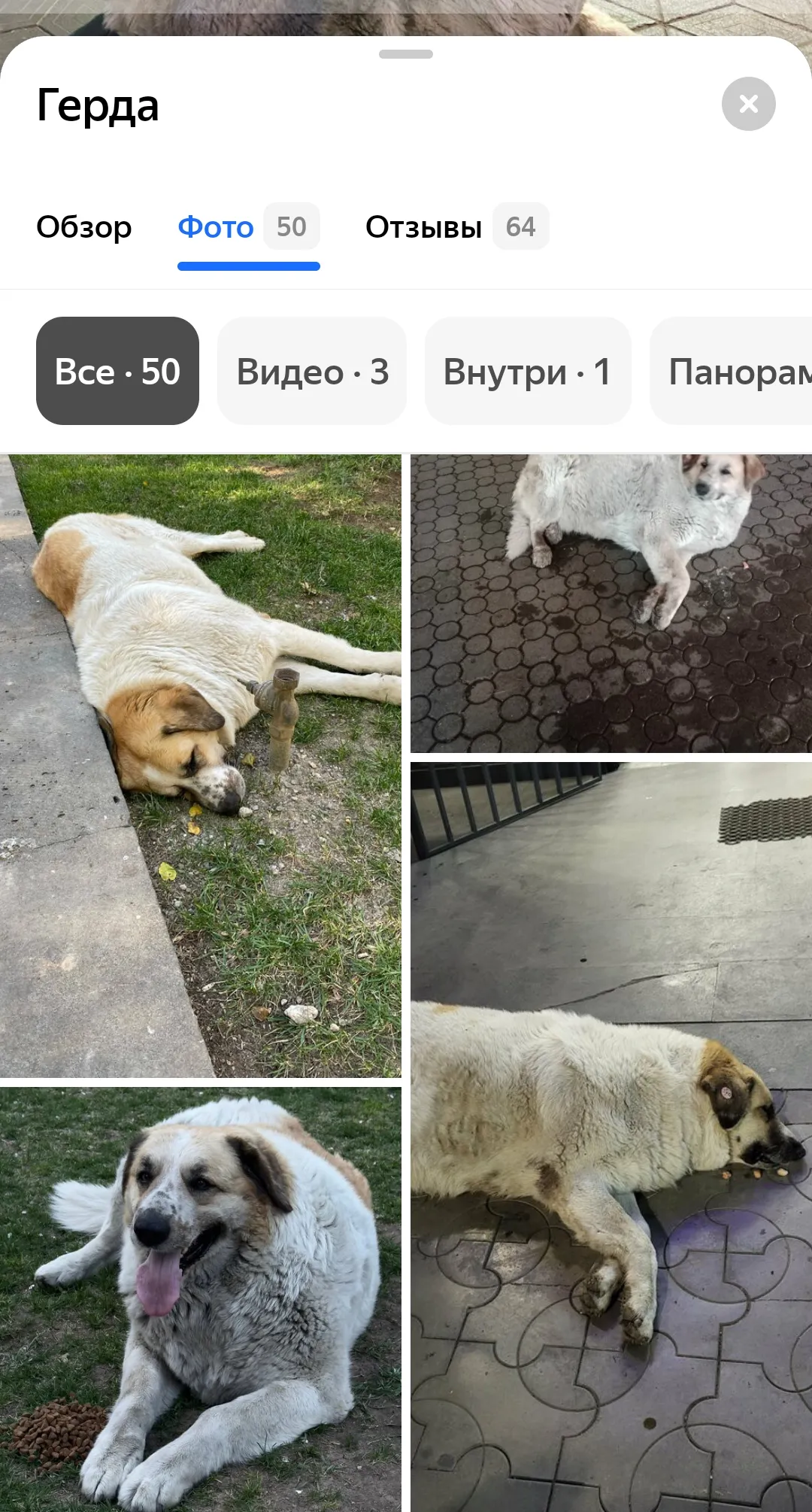 Душа Еревана и самая лучшая достопримечательность 🖤 #2
