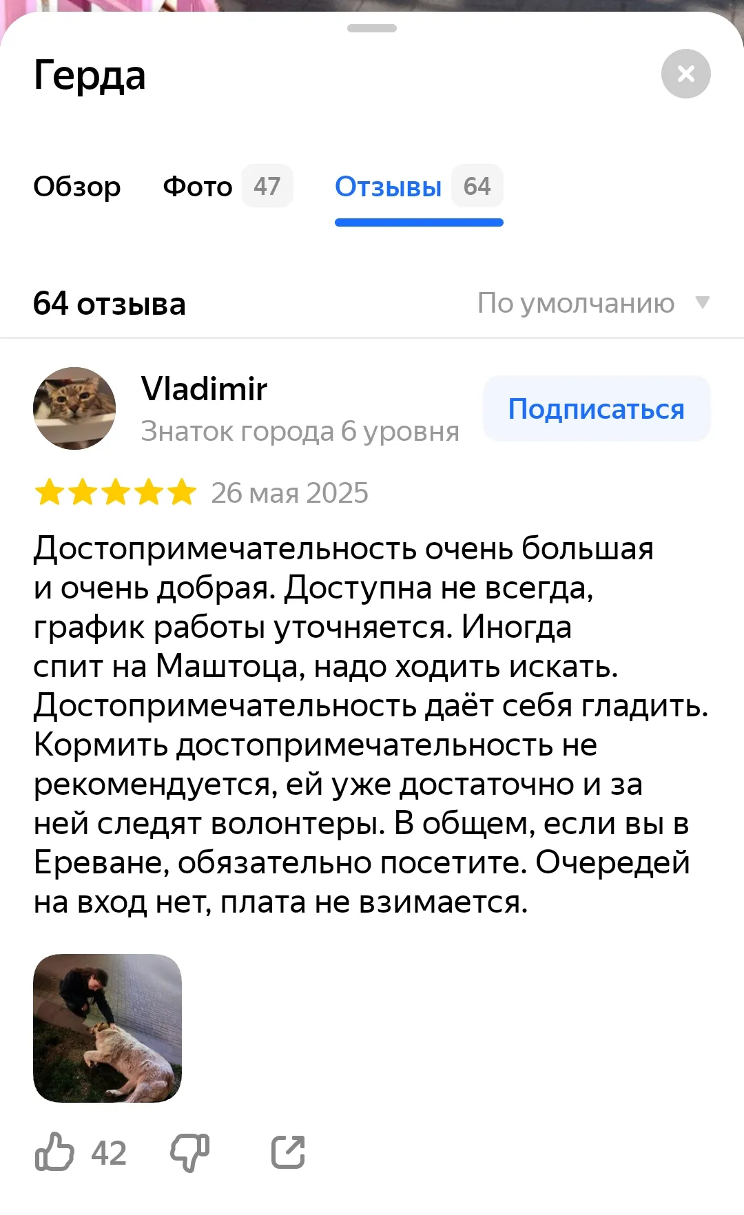 Душа Еревана и самая лучшая достопримечательность 🖤 #4