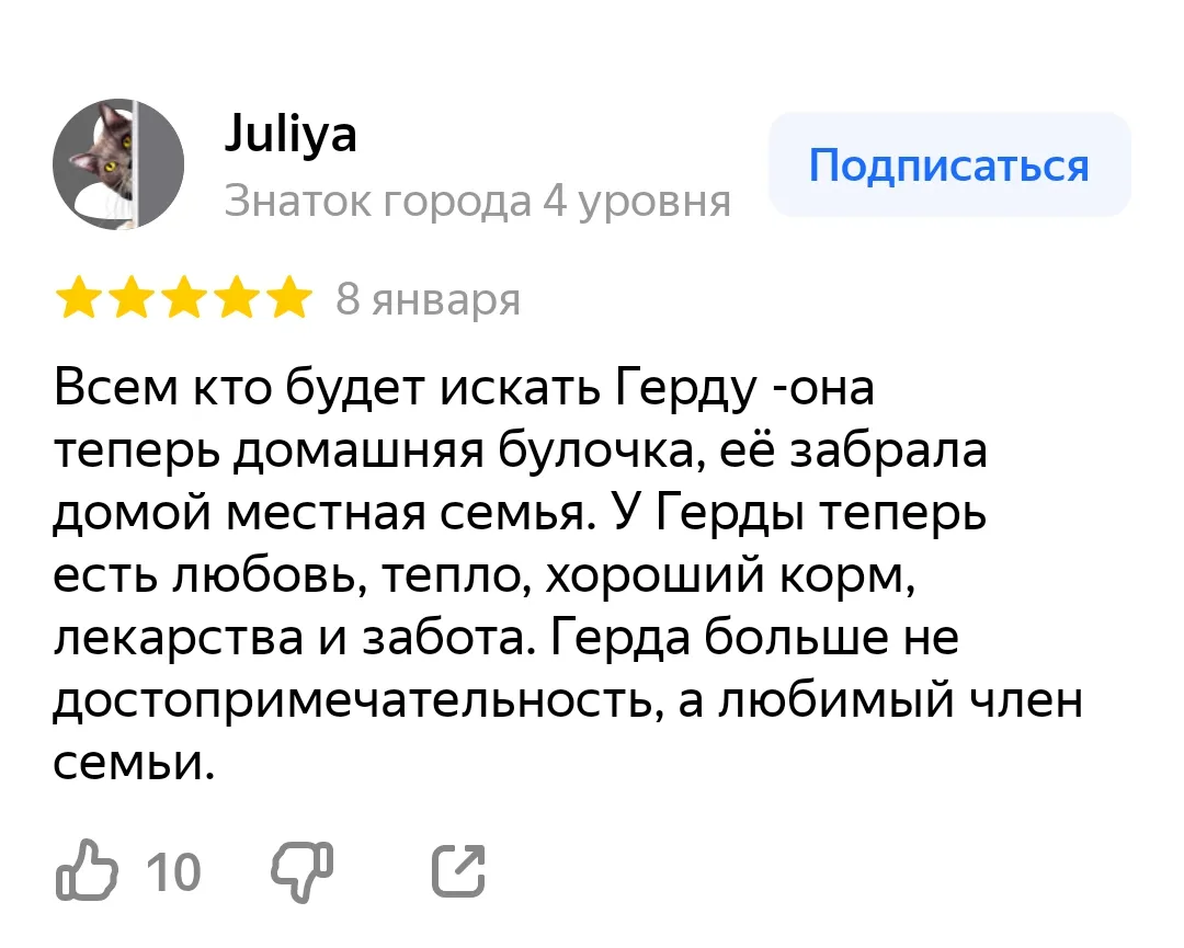 Душа Еревана и самая лучшая достопримечательность 🖤 #8