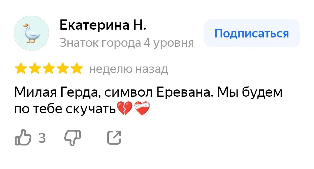 Душа Еревана и самая лучшая достопримечательность 🖤 #11