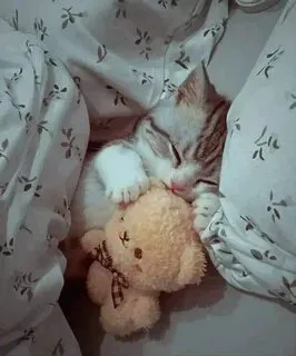 Всем спокойной ночи!🖤 #2