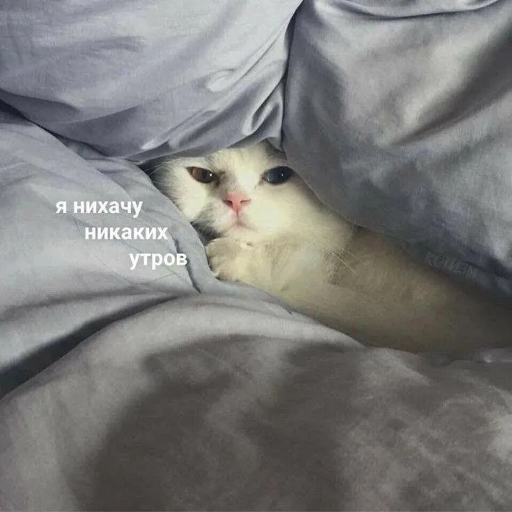 Но субботние чут-чут меньше не хочу, чем остальные 😎😎😎