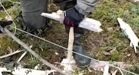 О выживании. #2