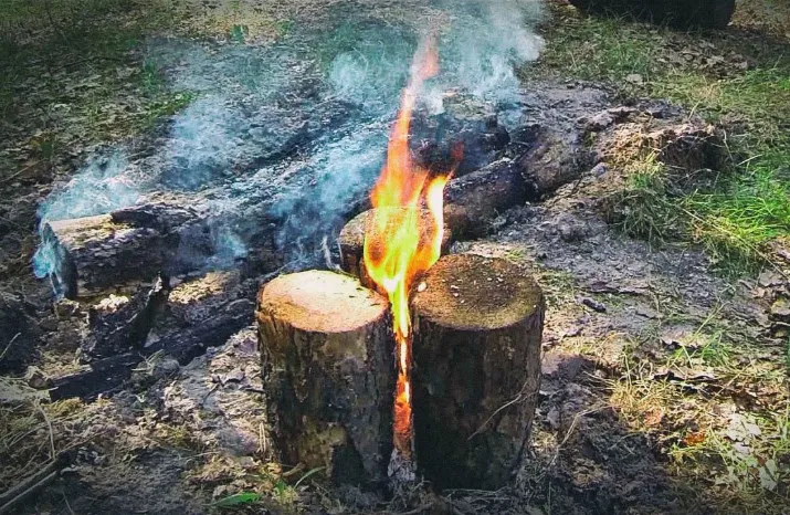 О выживании. #3