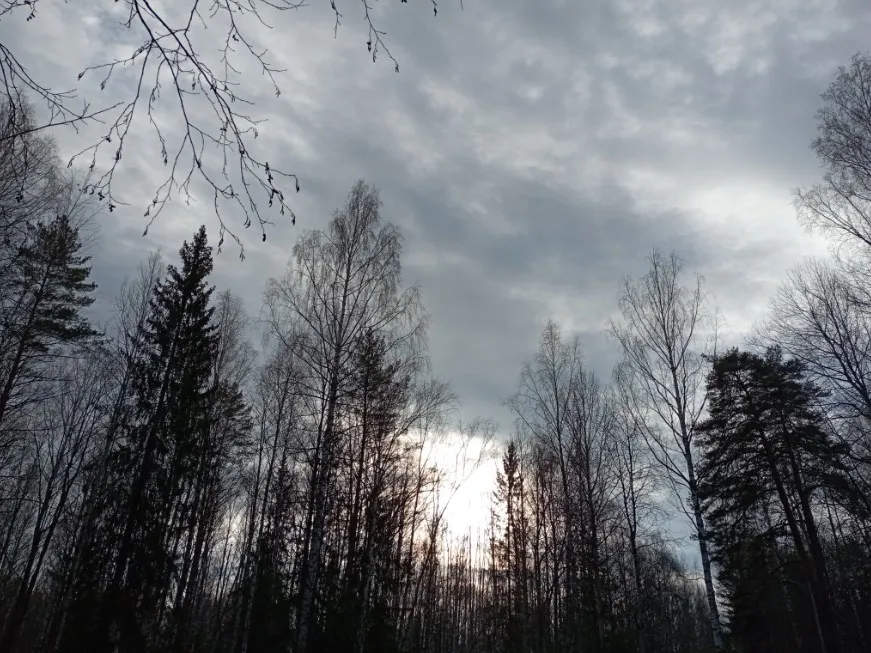 Разморозка. #4