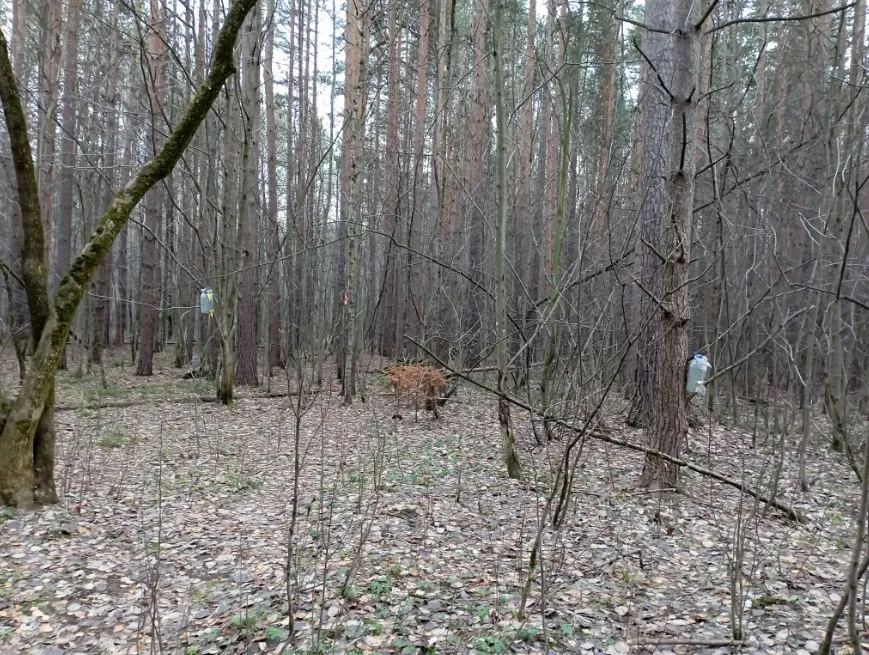 Разморозка. #13