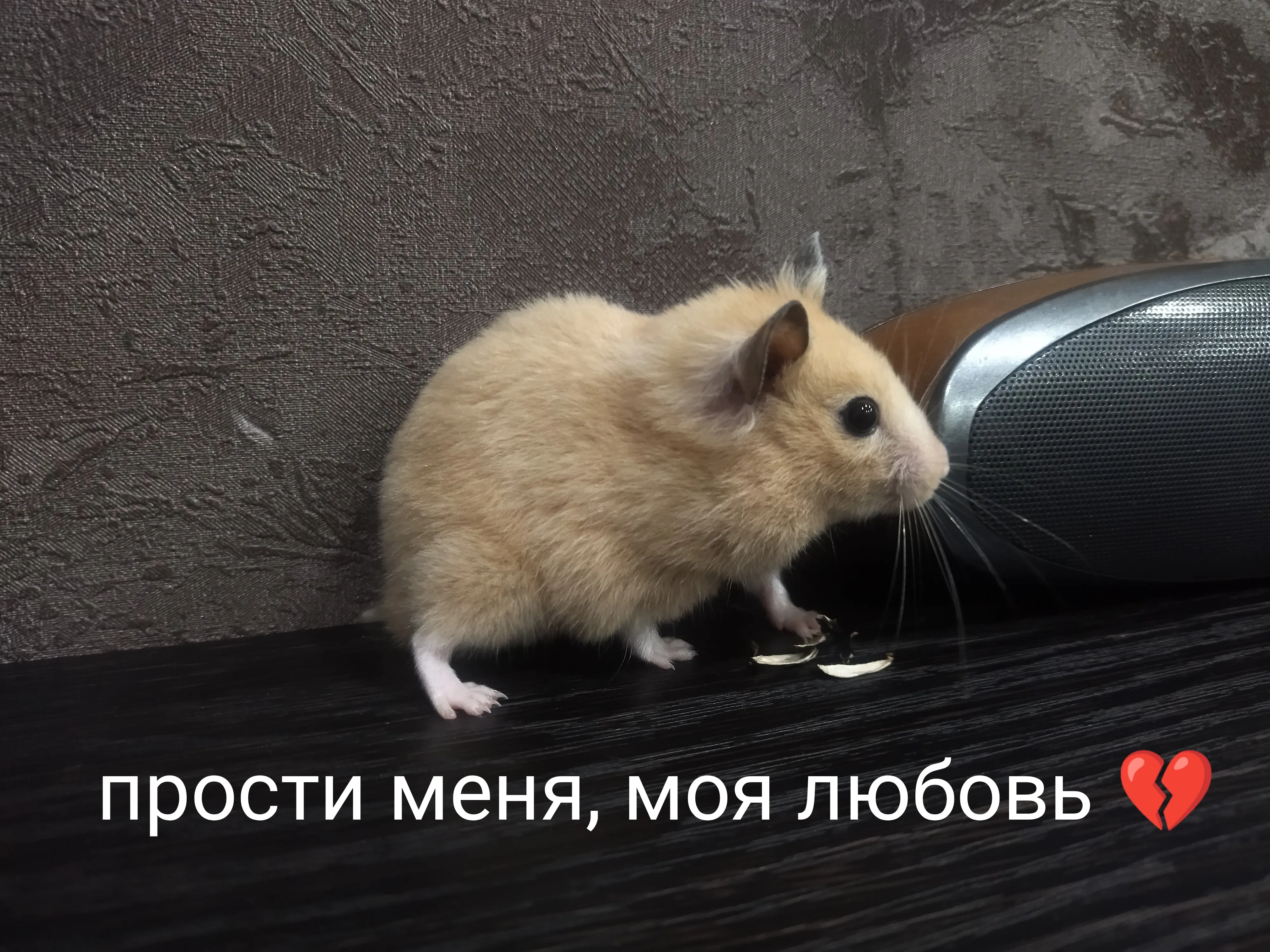 Боня 💔 #2