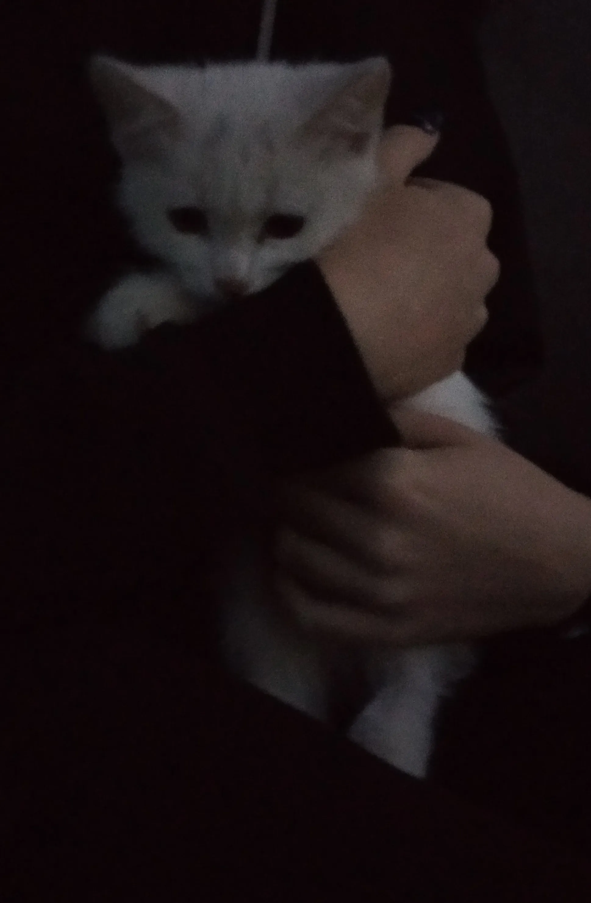 Бесчеловечность.  #2