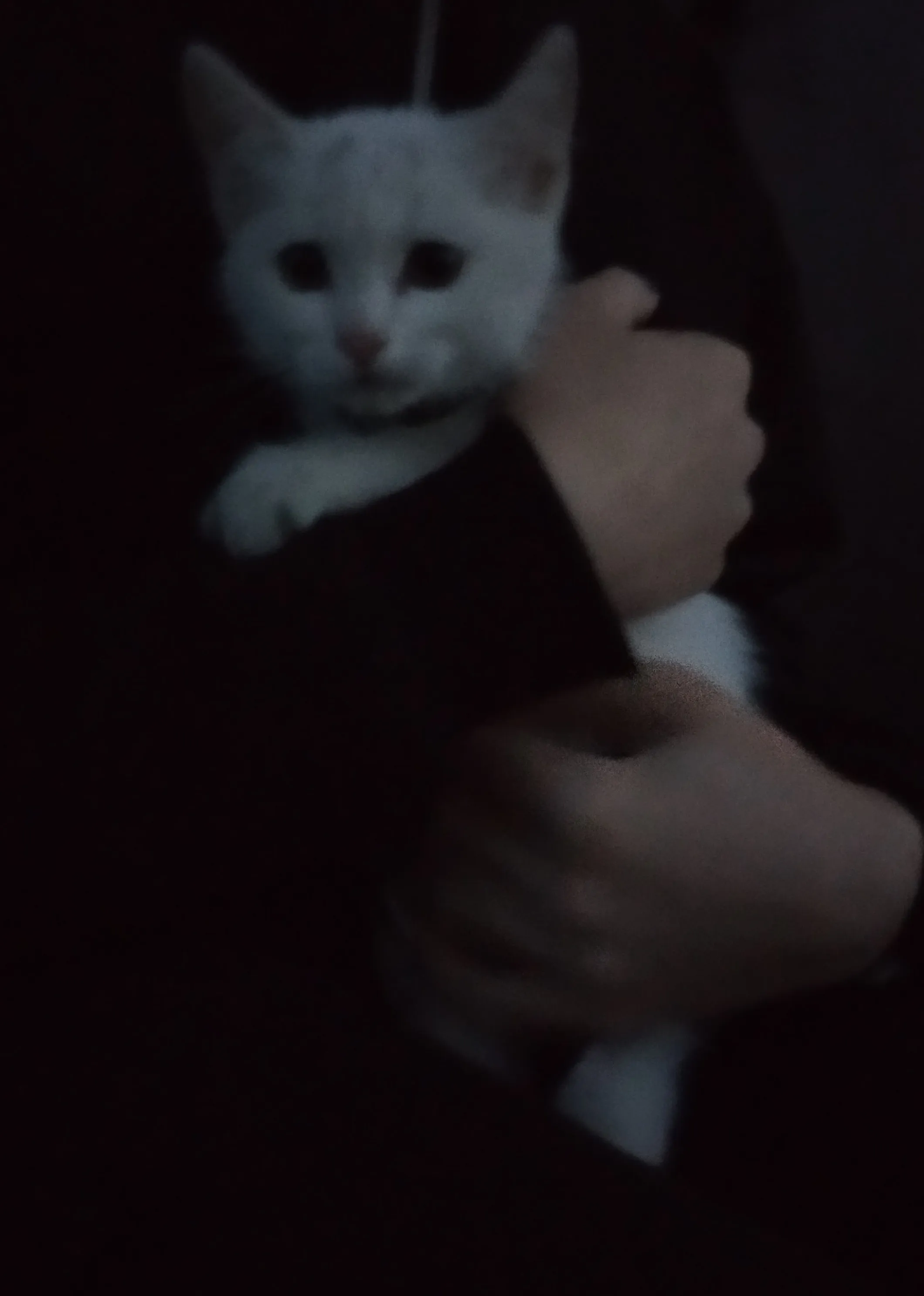 Бесчеловечность.  #3