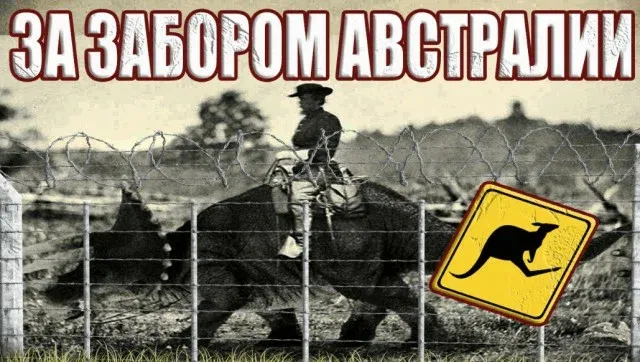 Забор Австралии #2