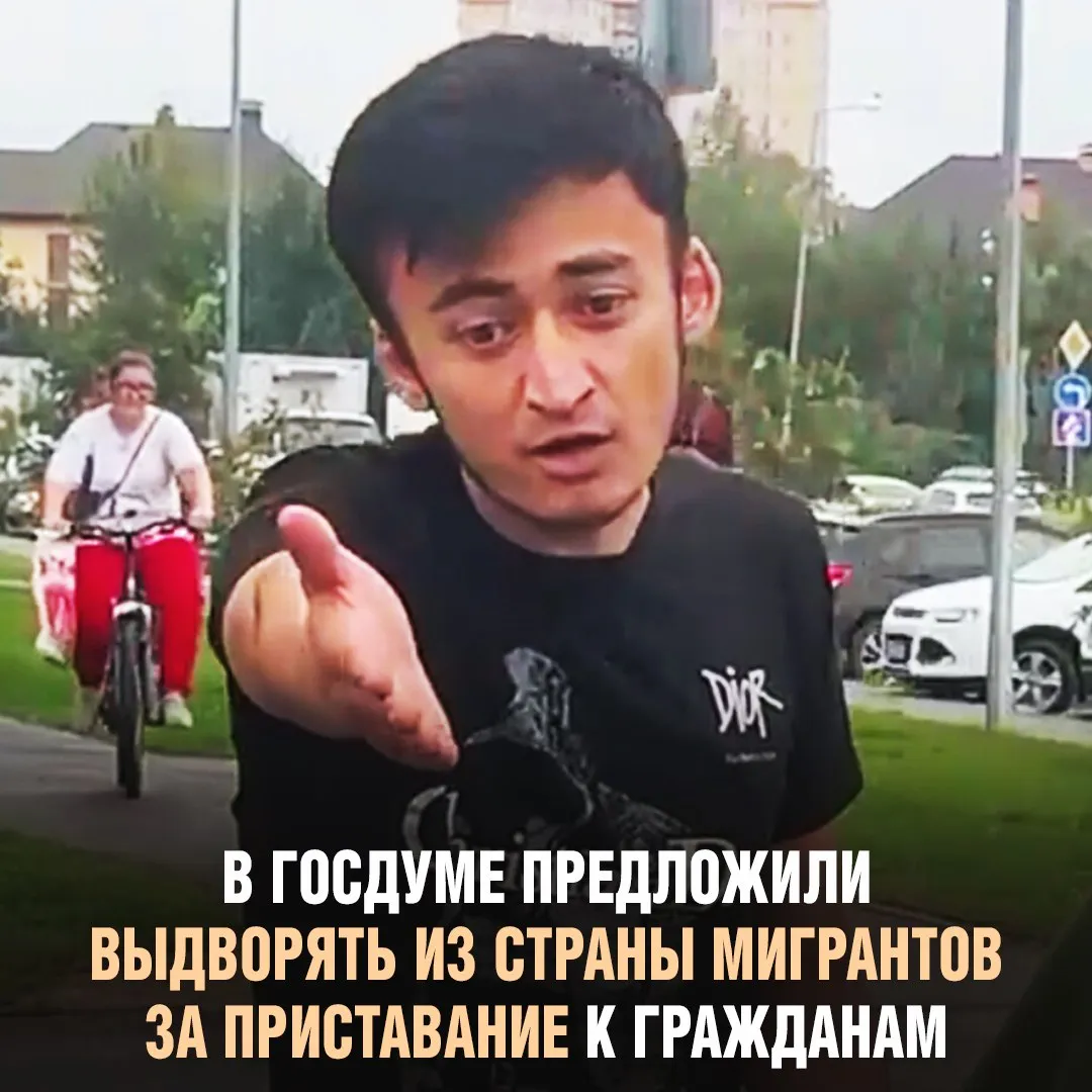 В Госдуме предложили выдворять из страны мигрантов за приставание к гражданам #1