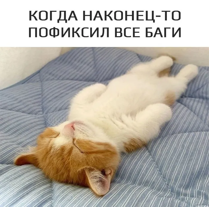 Плуб. Вы наткнулись на мем с котиком :D