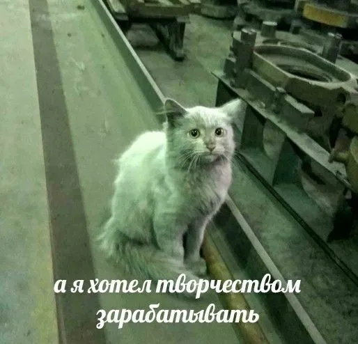 Мемы с котиками ฅ^•ﻌ•^ฅ #2