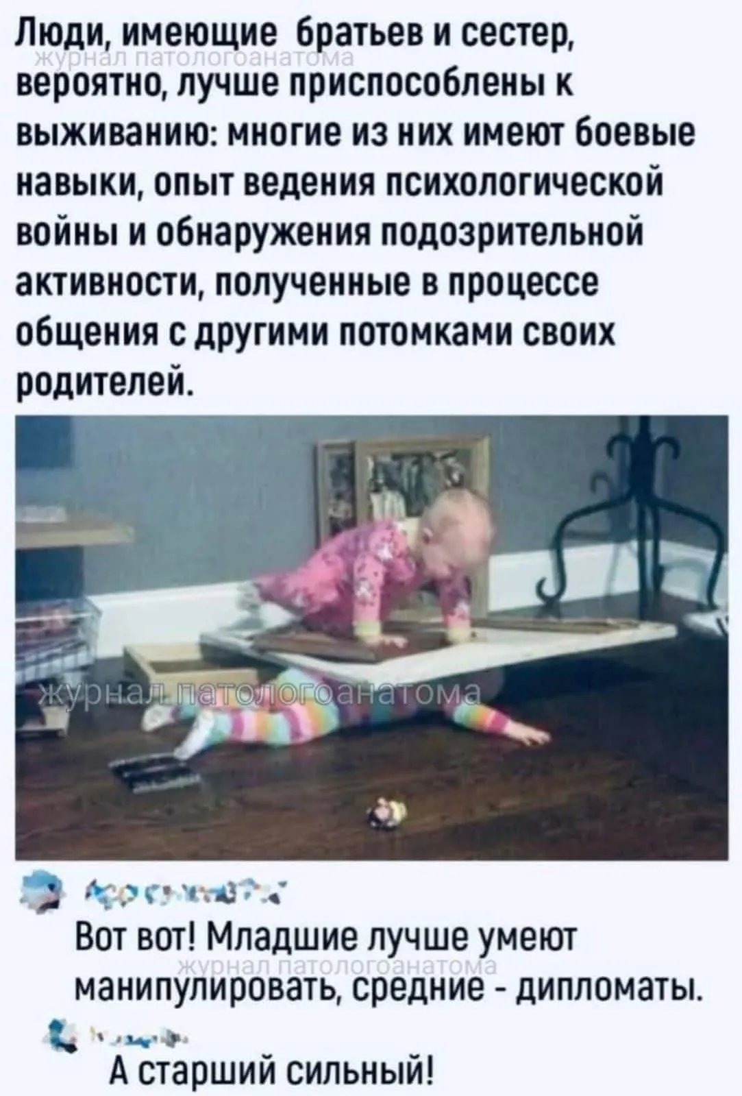 Не могу не согласиться)  #2