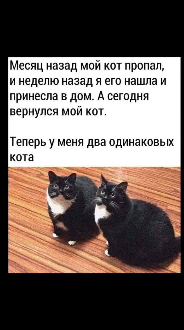 Предупреждение для хозяина Бруно #2