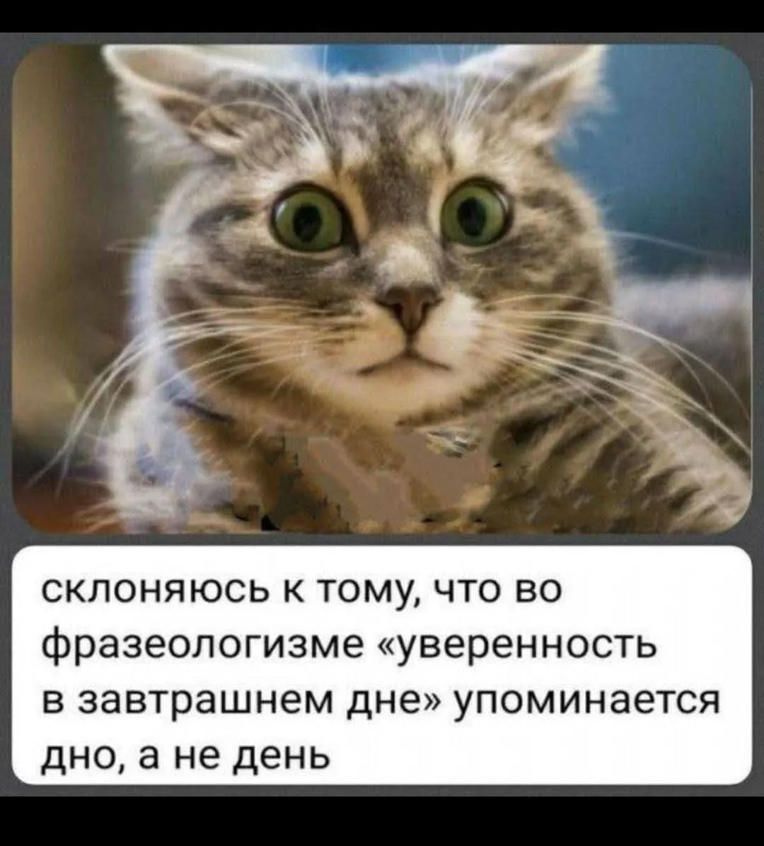 Уверенность в завтрашнем дне #2
