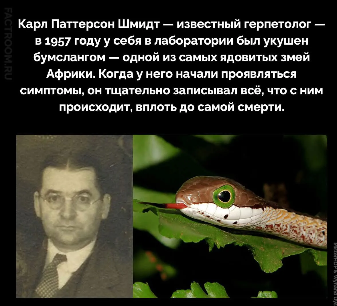 Настоящий учёный #2