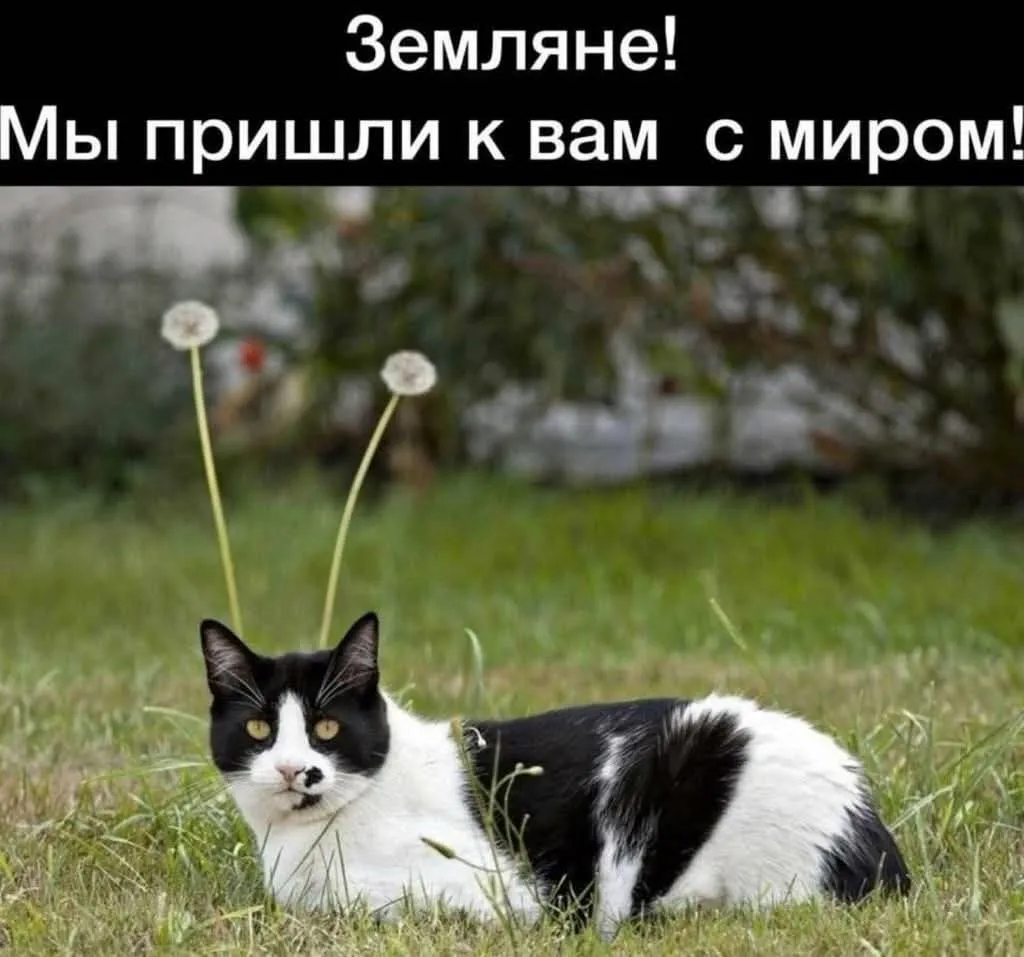 Доброго субботнего утра вам #2