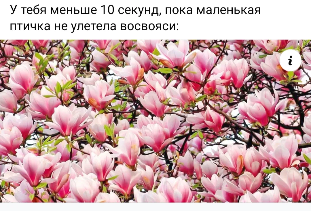 Где наши глазастенькие?  #2