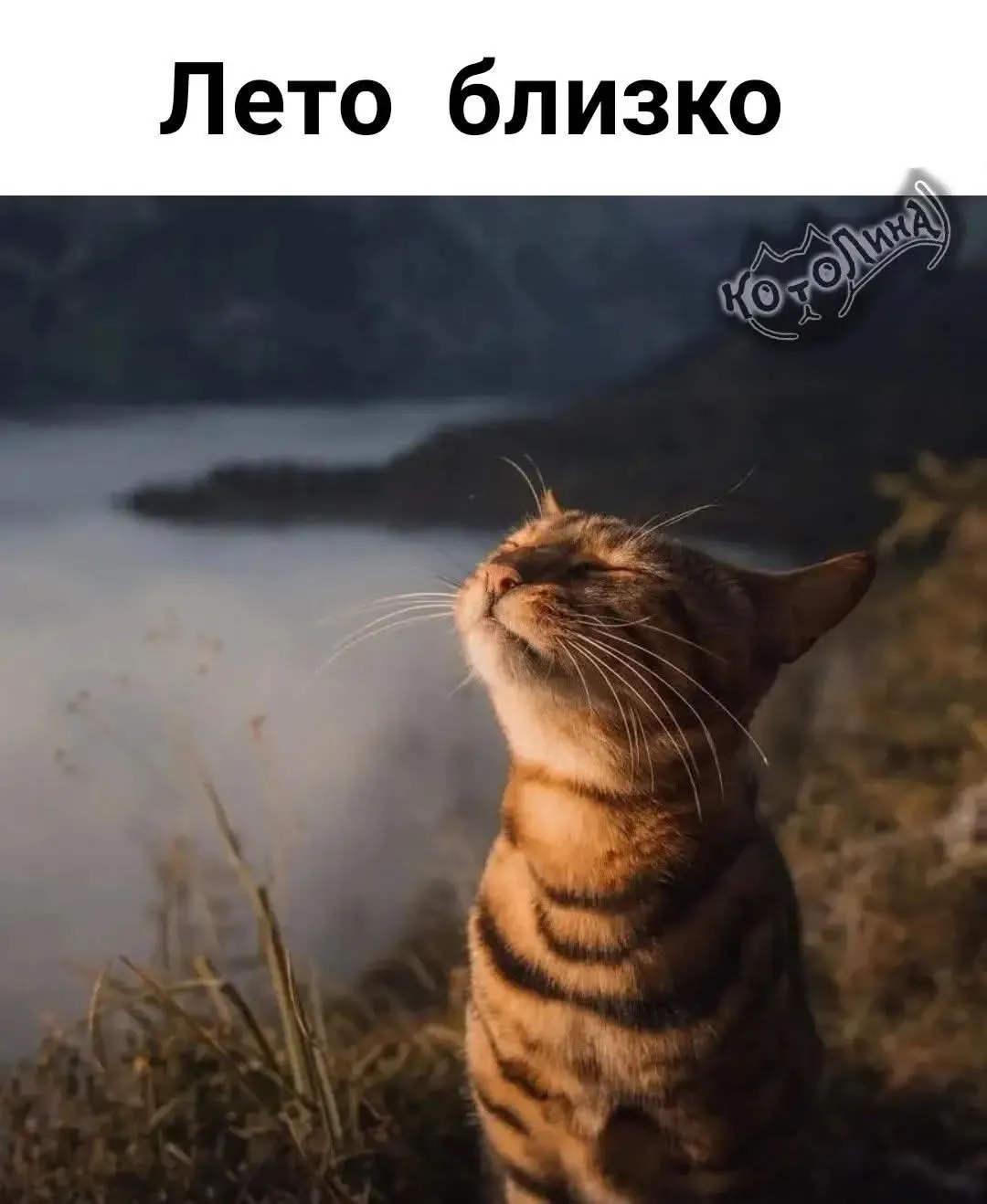Доброго утречка!  #2