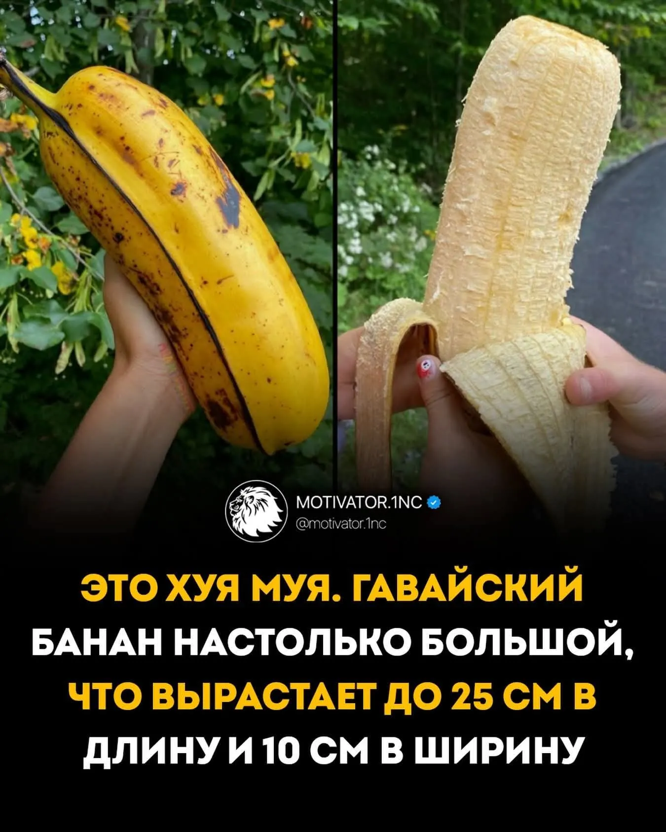 Хочу 🍌 #2