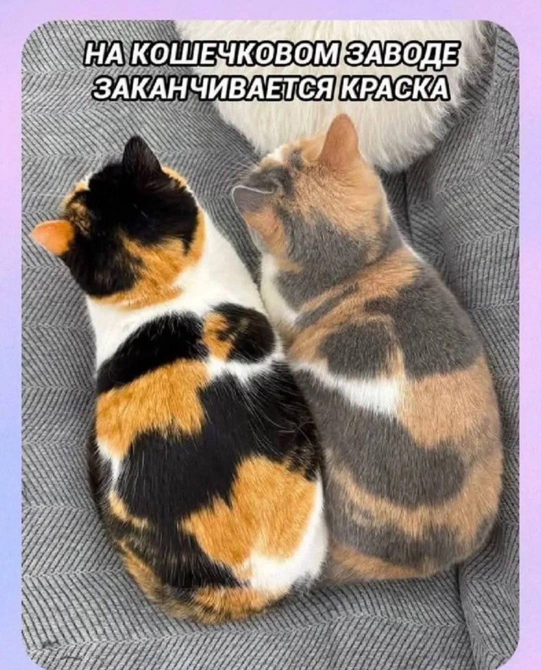 Немного юмора)  #2