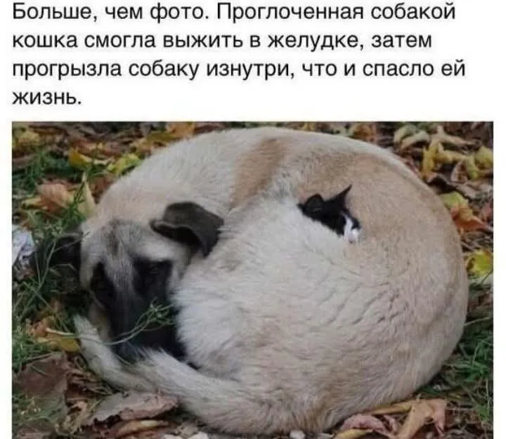 Примерно так сегодня делают новости в СМИ #2