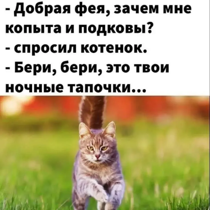 Ой, не могу 🤣 #2