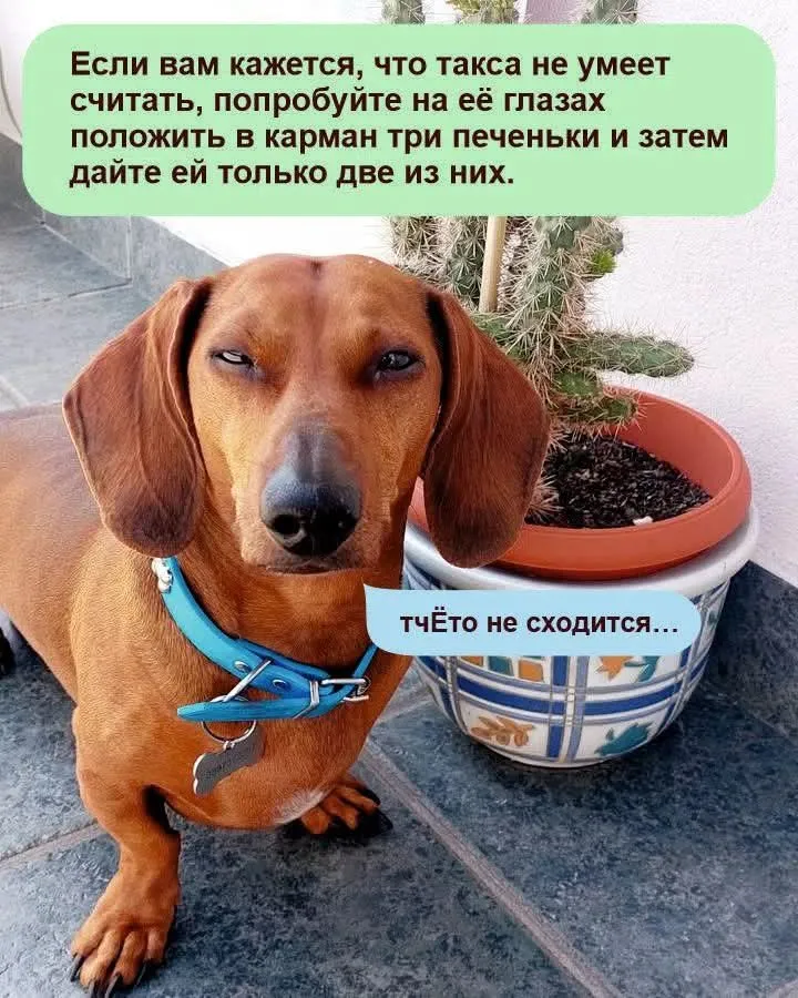 Улыбнись)  #2
