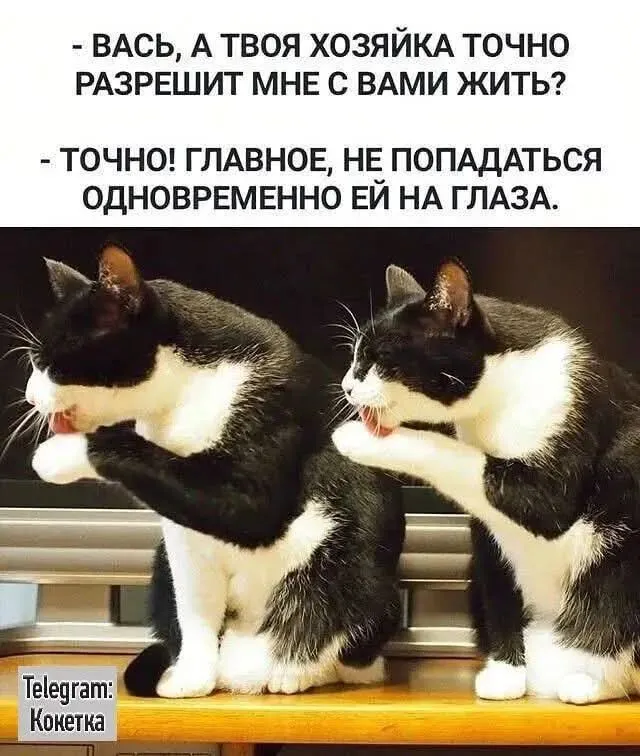 Улыбнись-2)  #2