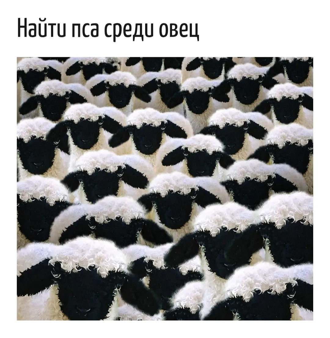 Где спряталась собака?  #2