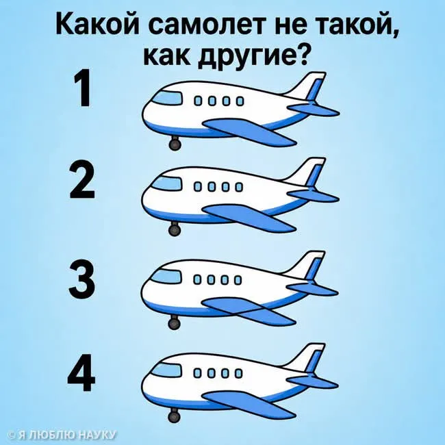 Тест на внимательность #2