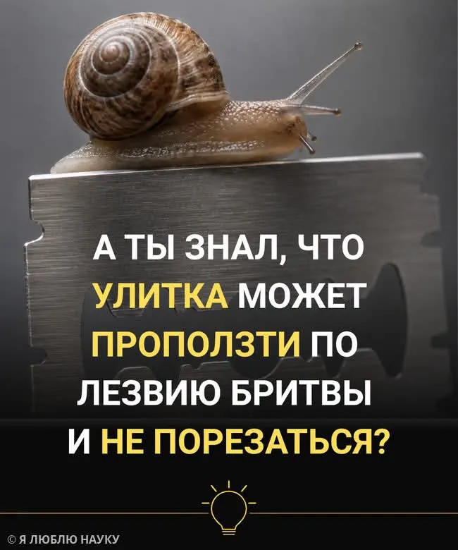 Я думала, это будет жутко #2