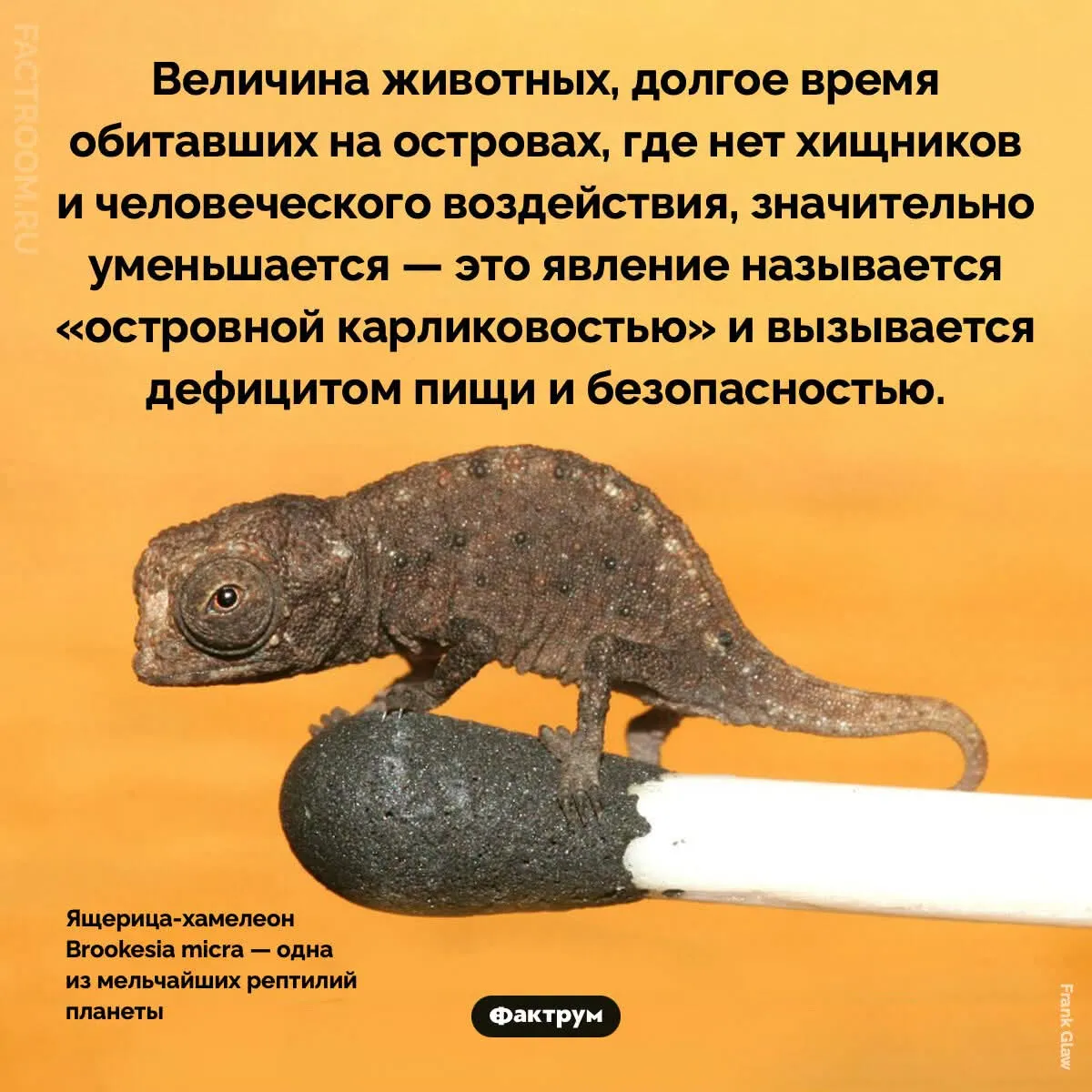 А у вас рост достаточный?  #2