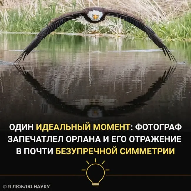 Миллион кадров, чтобы поймать один #2