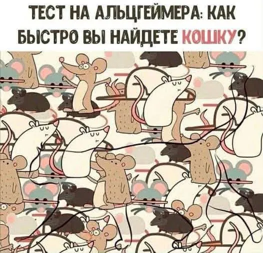 Кошки-мышки #2