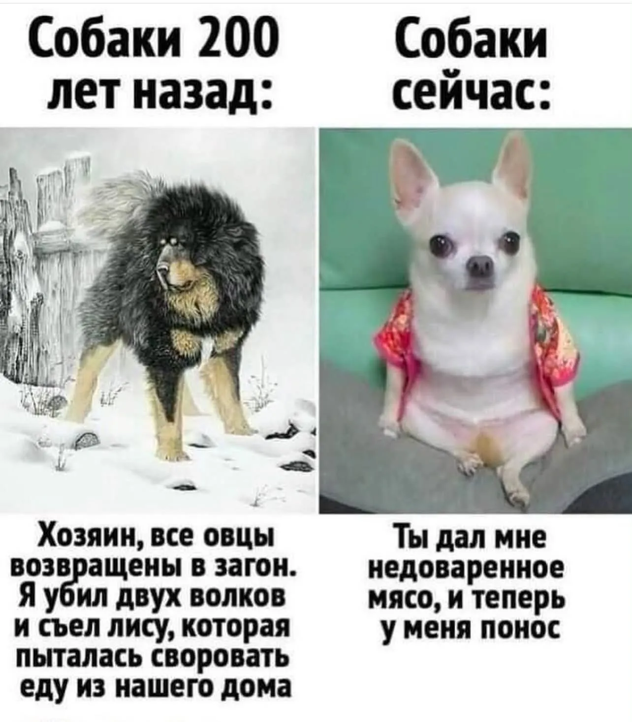 Юмор #2