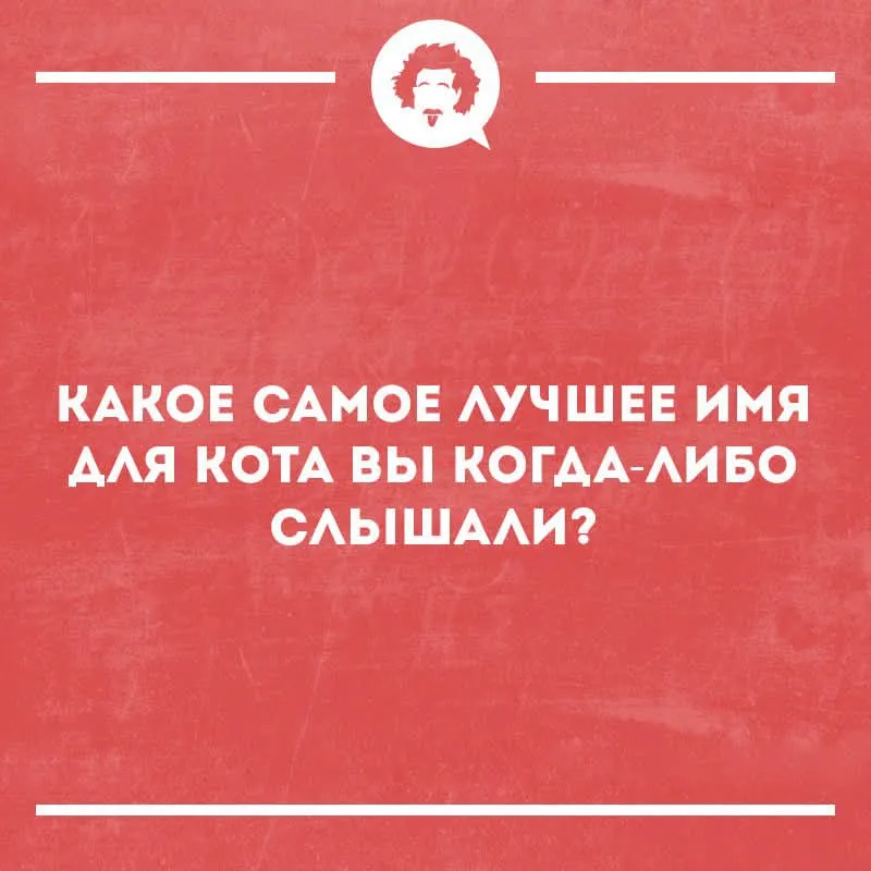 Вопрос про кота #2