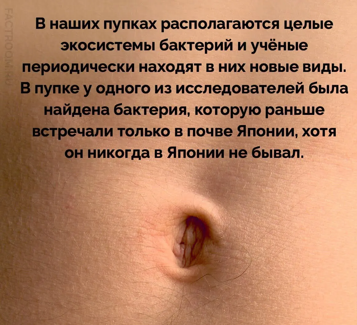 Кто живёт в пупке?)  #2