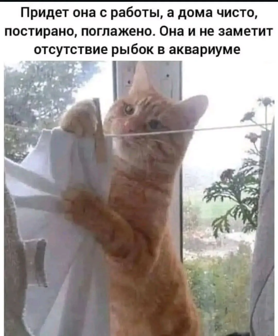 Юмор #2