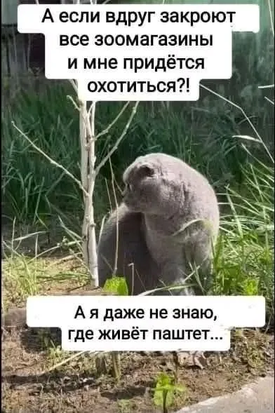 Улыбнись #2