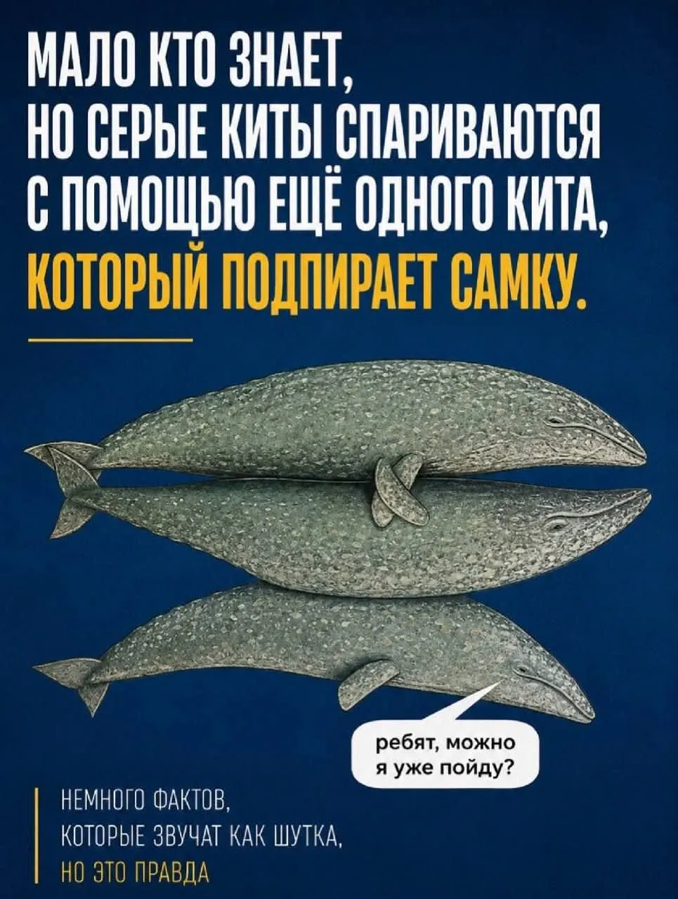 А вы знали?  #2