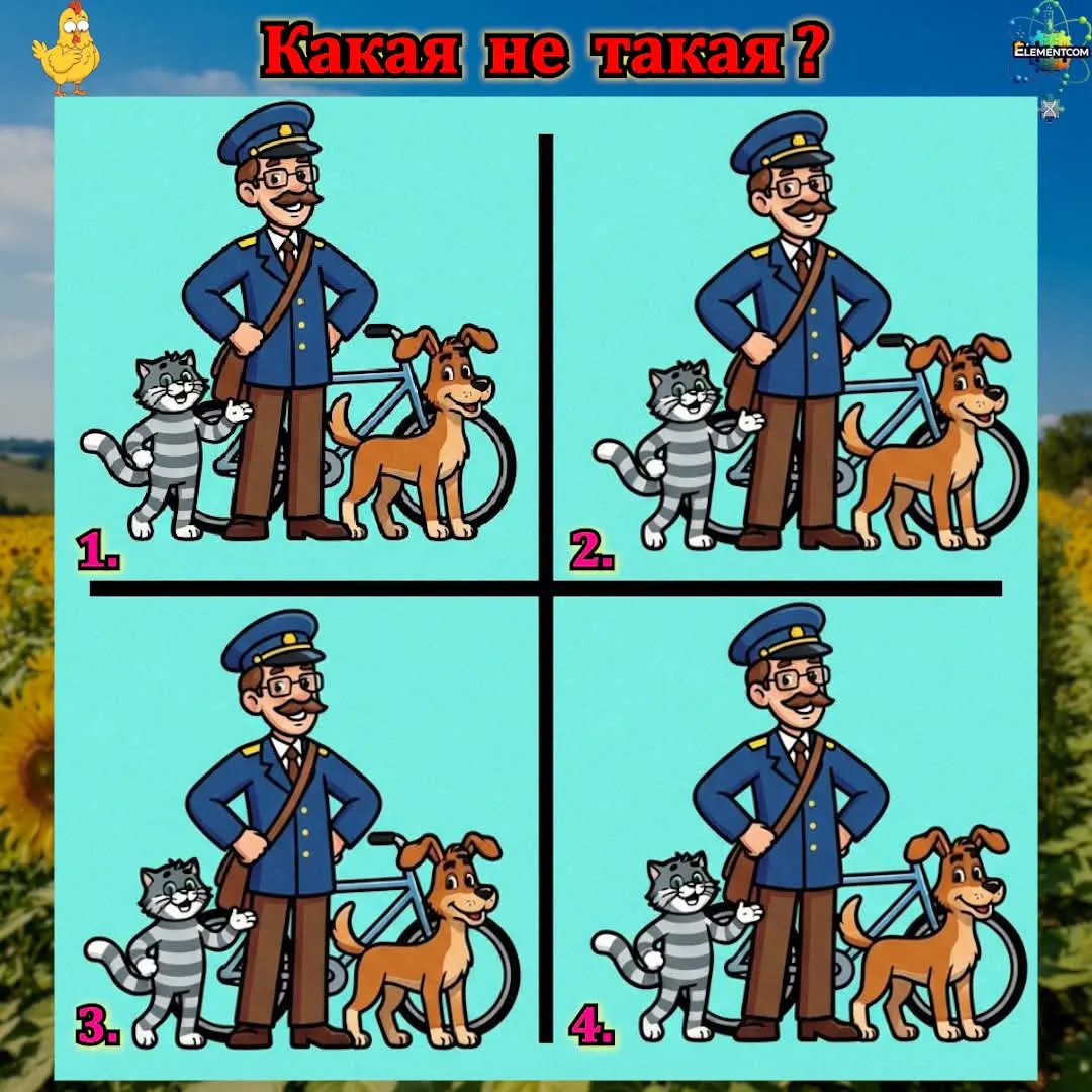 Какая не такая?  #2