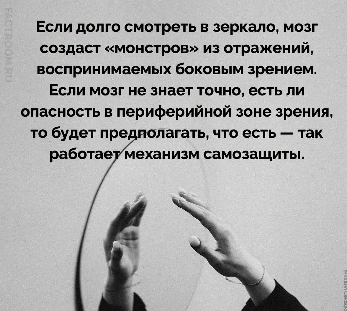 Мозг - обманщик #2