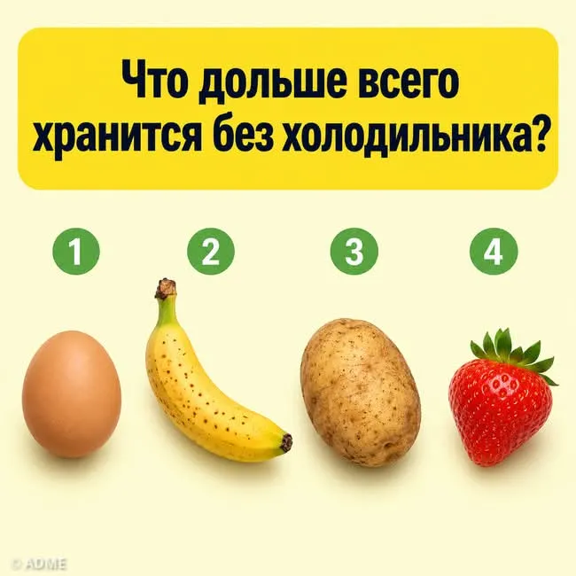 А ну-ка, хозяюшки!  #2