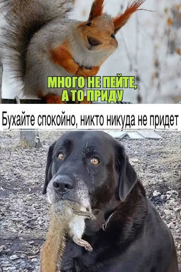 Подготовка к пятнице #2