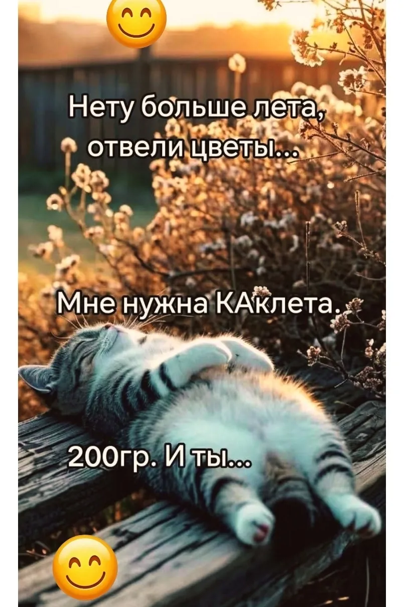 Улыбнись #2