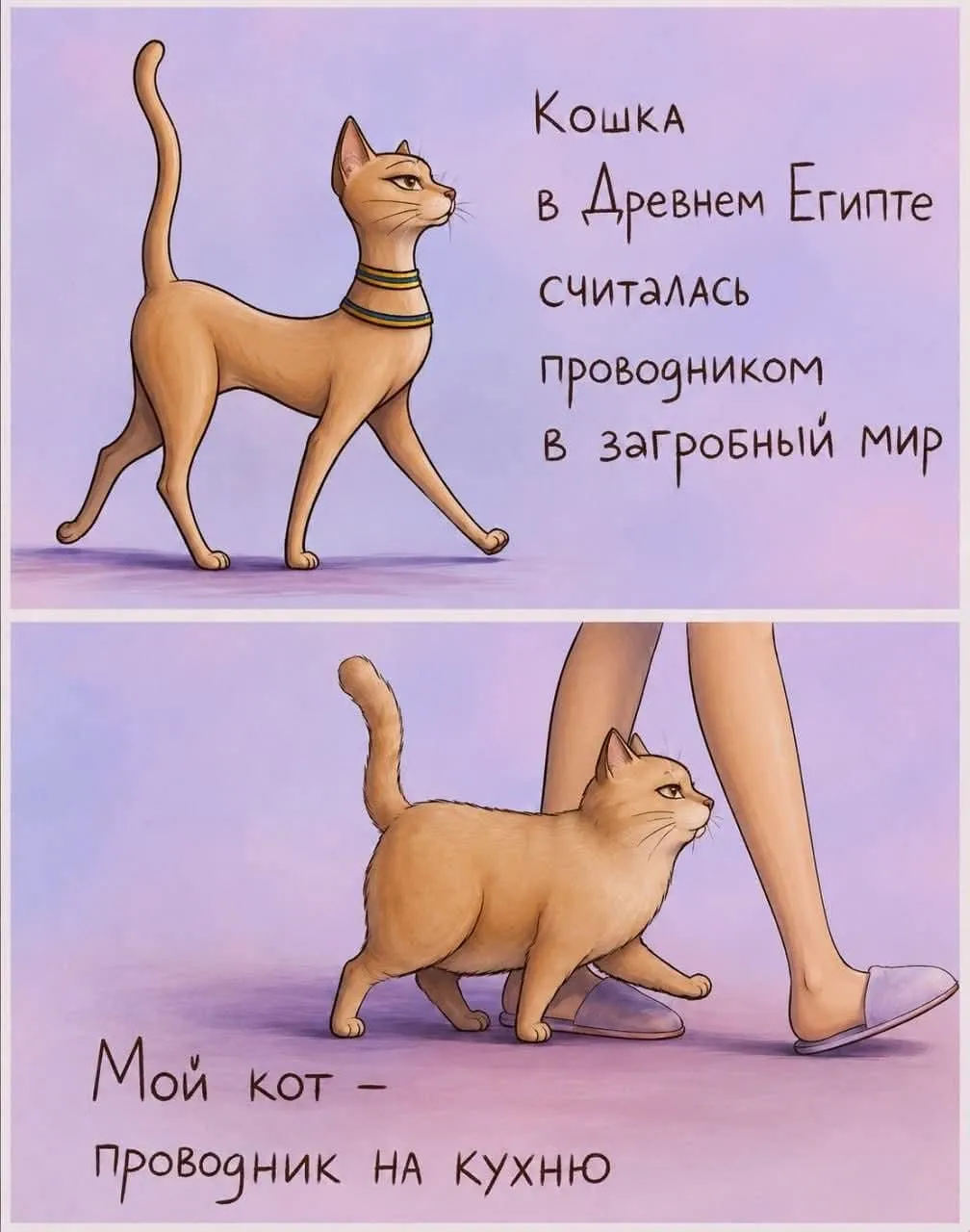 Юмор #2