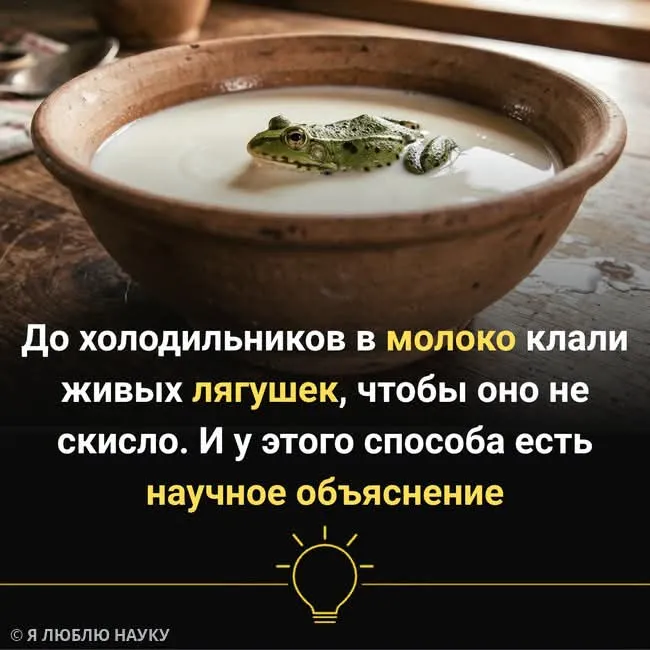 Холодильник прошлого #2